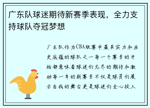 广东队球迷期待新赛季表现，全力支持球队夺冠梦想