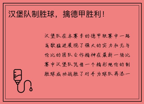 汉堡队制胜球，擒德甲胜利！